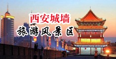 脱衣艳舞扒阴抠逼中国陕西-西安城墙旅游风景区
