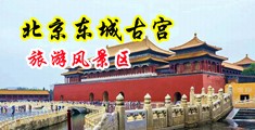 小骚逼操喷水动漫中国北京-东城古宫旅游风景区